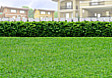 Lot for Sale in Bacolod, Negros Occidental